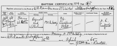 Baptismal certificate, Harry Alston McArtney
