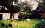 Andrew planting out a lemon tree